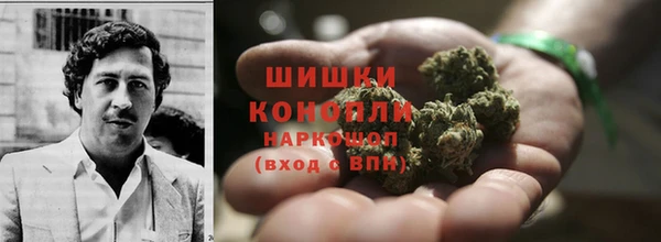 прущие крисы Бородино
