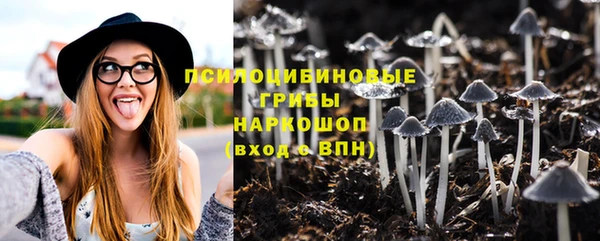 a pvp Богородск