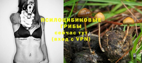 a pvp Богородск