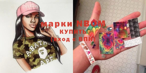 прущие крисы Бородино