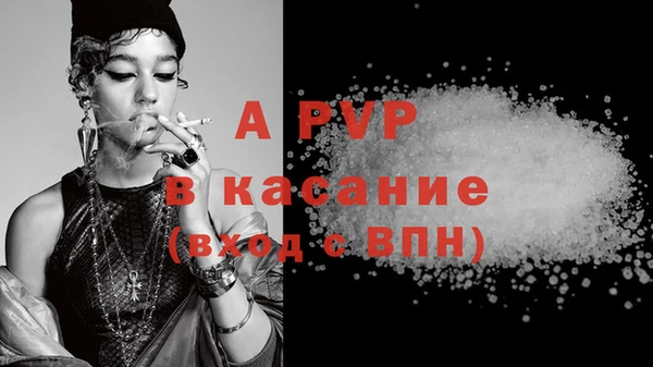 прущие крисы Бородино