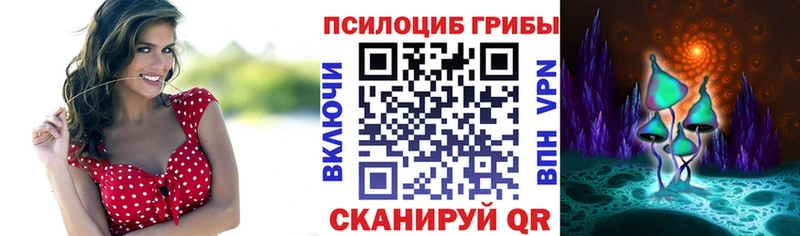 Псилоцибиновые грибы ЛСД  продажа наркотиков  Гатчина 