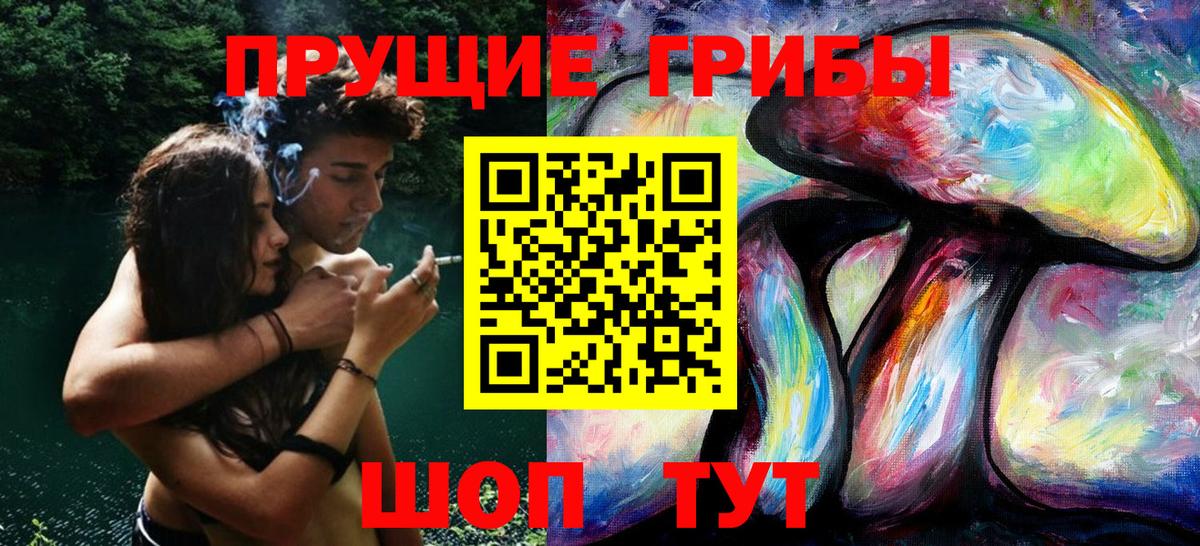 Галлюциногенные грибы GOLDEN TEACHER  Галлюциногенные грибы прущие грибы  Гатчина  Вход с VPN 
