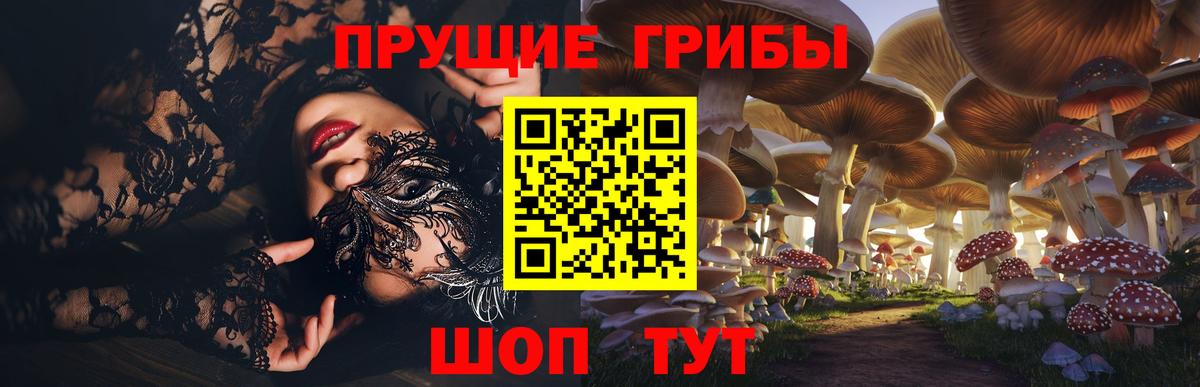 Галлюциногенные грибы ЛСД  Гатчина 